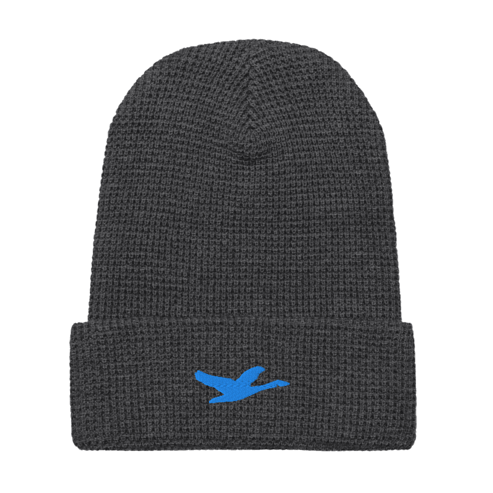 Grown Waffle Beanie — Charcoal · Sky